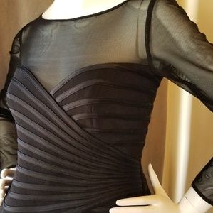 Black Sheer Blouse Fitted Bodice